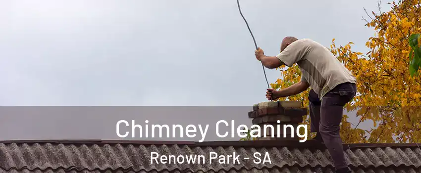  Chimney Cleaning Renown Park - SA