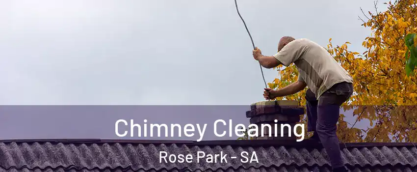  Chimney Cleaning Rose Park - SA