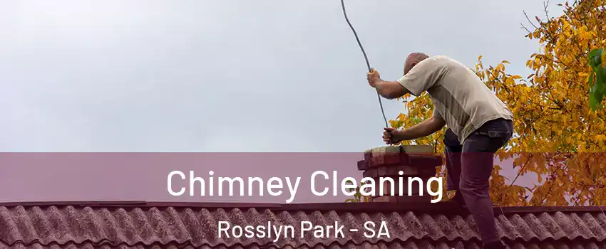  Chimney Cleaning Rosslyn Park - SA