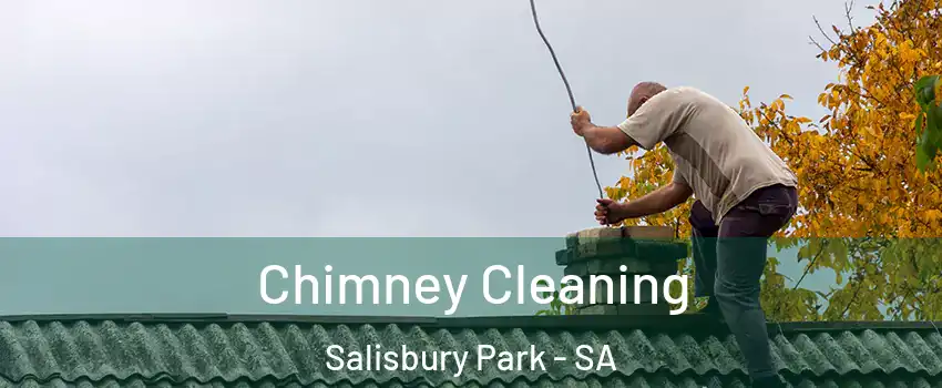  Chimney Cleaning Salisbury Park - SA