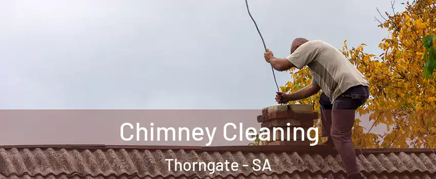  Chimney Cleaning Thorngate - SA
