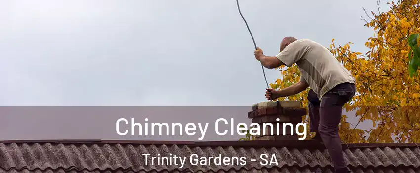  Chimney Cleaning Trinity Gardens - SA