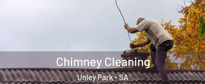 Chimney Cleaning Unley Park - SA
