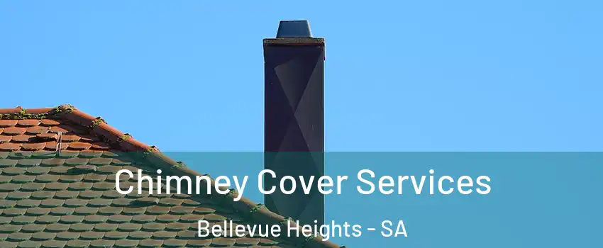 Chimney Cover Services Bellevue Heights - SA