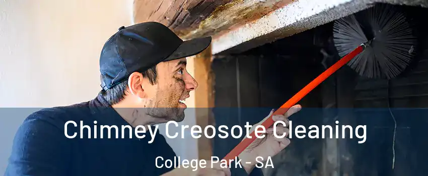 Chimney Creosote Cleaning College Park - SA