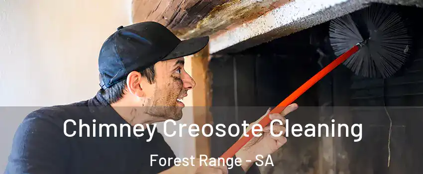 Chimney Creosote Cleaning Forest Range - SA