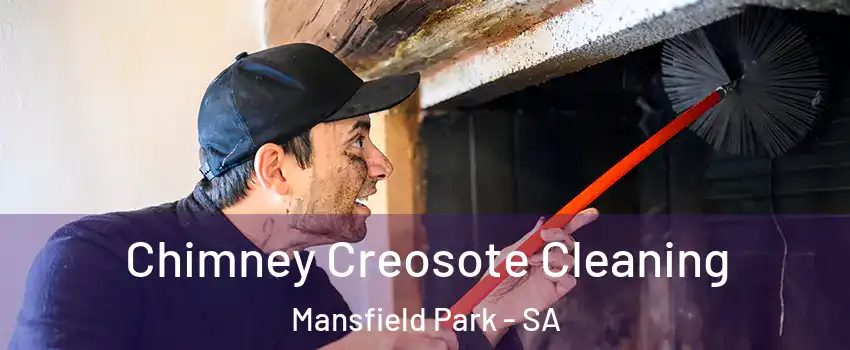 Chimney Creosote Cleaning Mansfield Park - SA