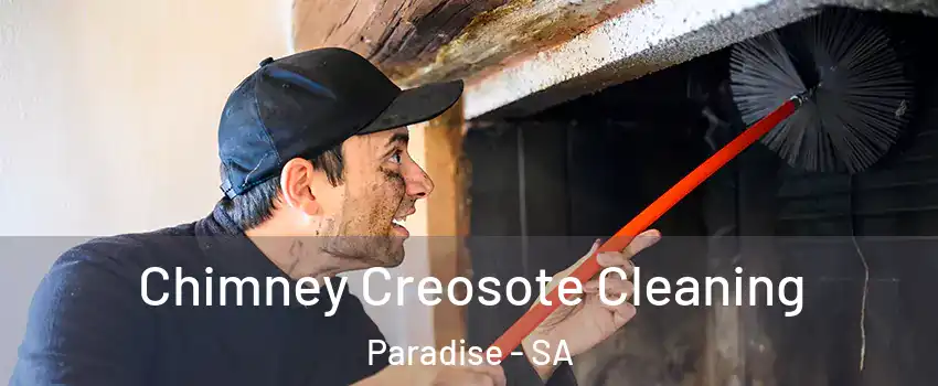  Chimney Creosote Cleaning Paradise - SA