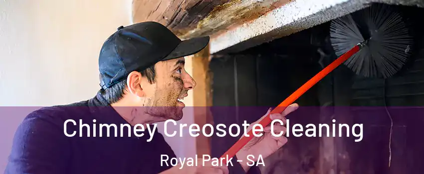  Chimney Creosote Cleaning Royal Park - SA