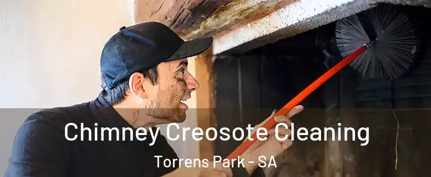  Chimney Creosote Cleaning Torrens Park - SA