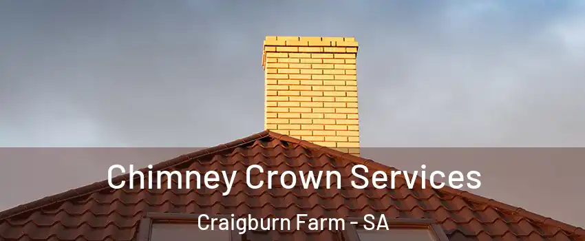 Chimney Crown Services Craigburn Farm - SA
