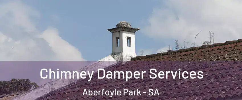 Chimney Damper Services Aberfoyle Park - SA