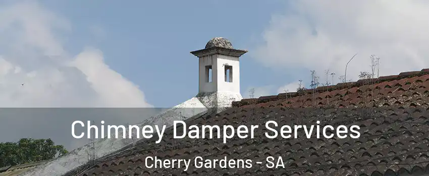 Chimney Damper Services Cherry Gardens - SA