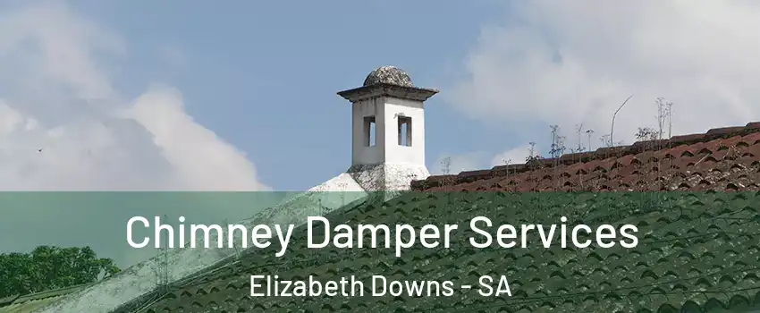 Chimney Damper Services Elizabeth Downs - SA