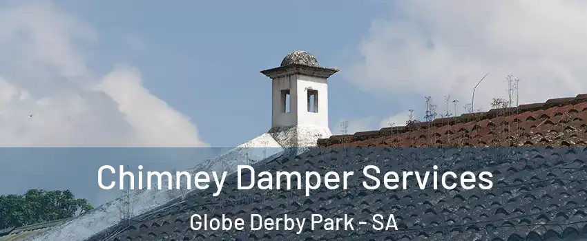 Chimney Damper Services Globe Derby Park - SA