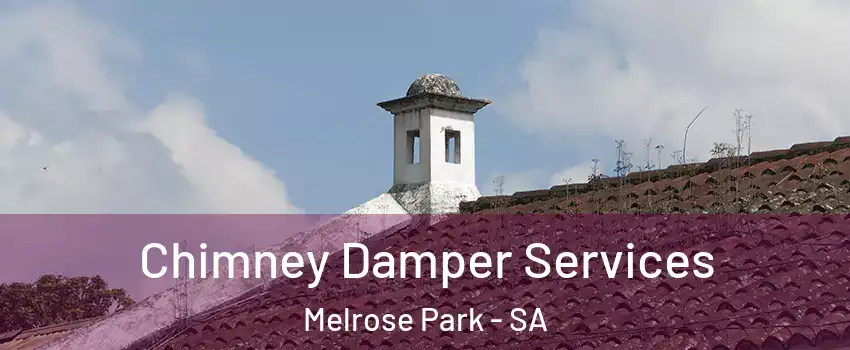  Chimney Damper Services Melrose Park - SA