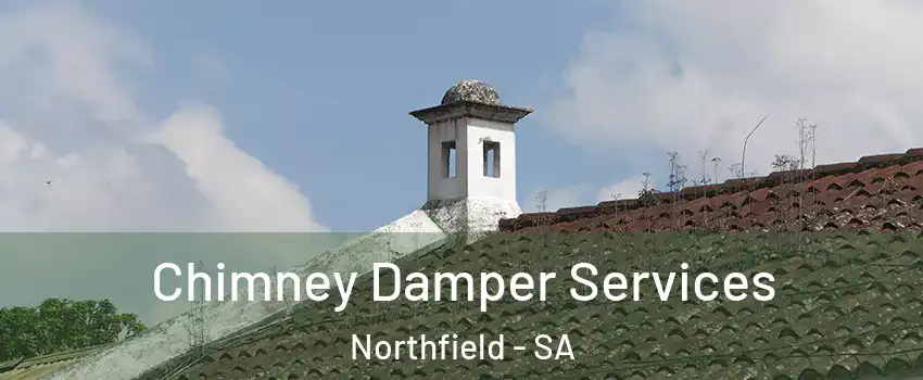  Chimney Damper Services Northfield - SA