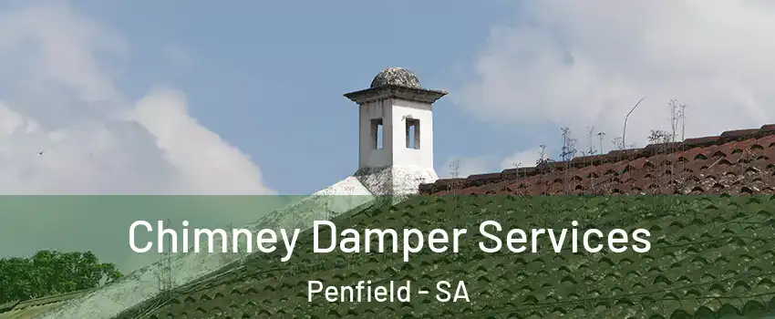  Chimney Damper Services Penfield - SA