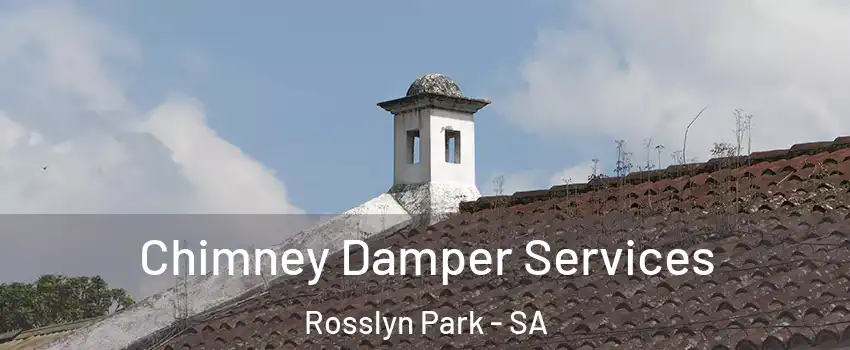  Chimney Damper Services Rosslyn Park - SA