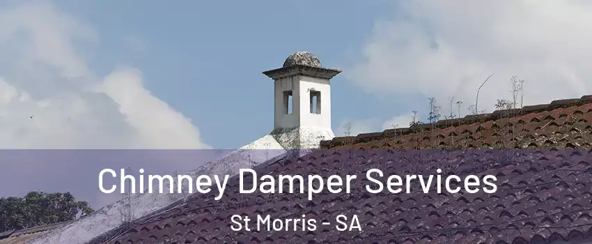  Chimney Damper Services St Morris - SA