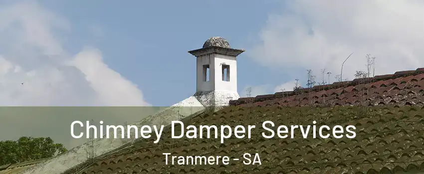  Chimney Damper Services Tranmere - SA