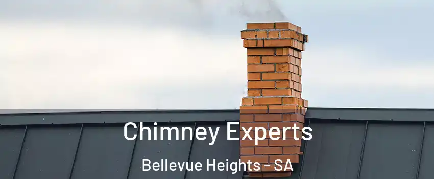 Chimney Experts Bellevue Heights - SA