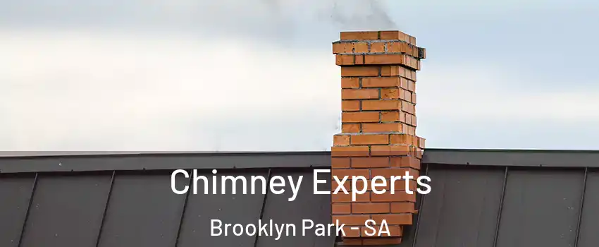 Chimney Experts Brooklyn Park - SA