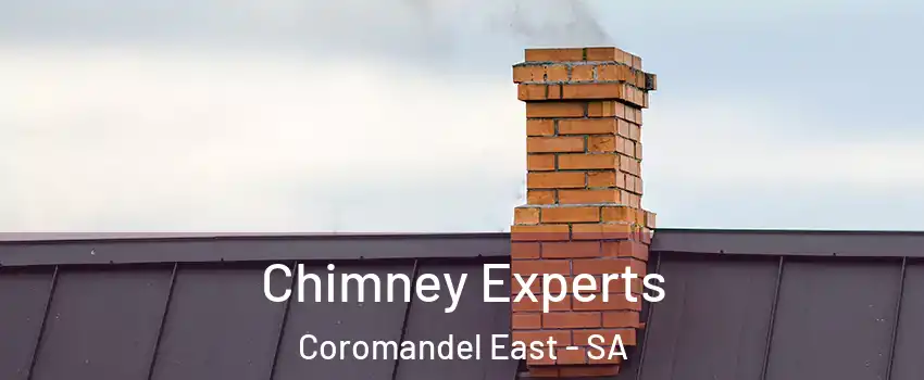 Chimney Experts Coromandel East - SA