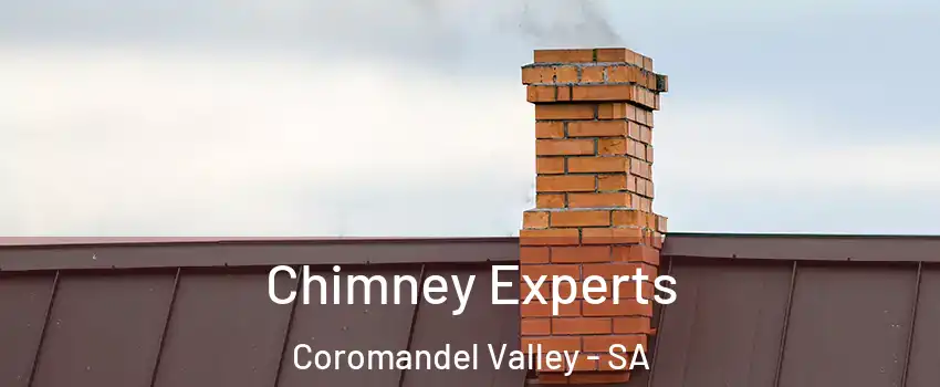 Chimney Experts Coromandel Valley - SA
