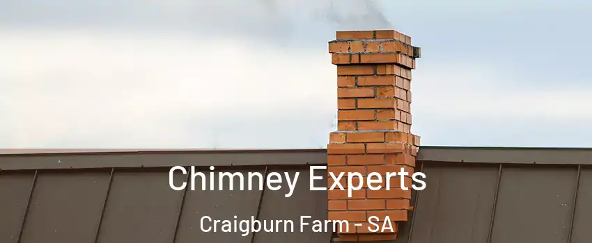 Chimney Experts Craigburn Farm - SA