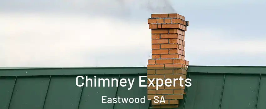 Chimney Experts Eastwood - SA