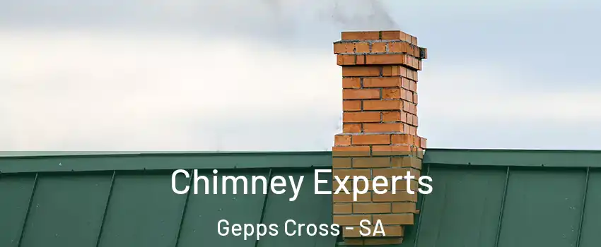 Chimney Experts Gepps Cross - SA