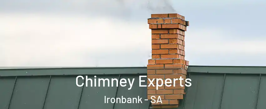  Chimney Experts Ironbank - SA