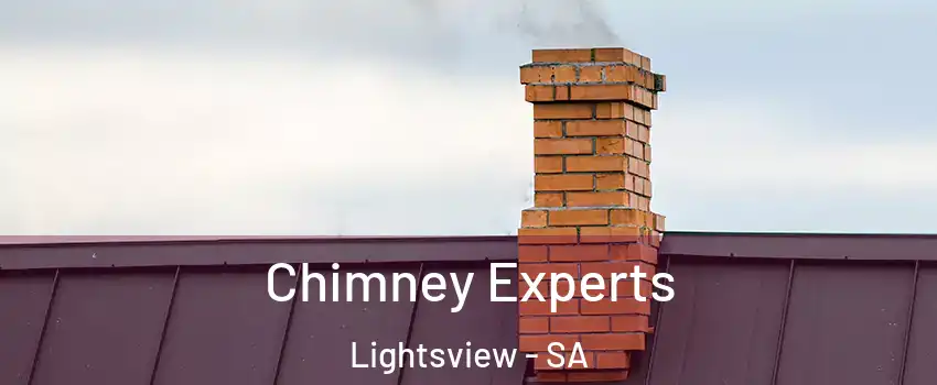 Chimney Experts Lightsview - SA
