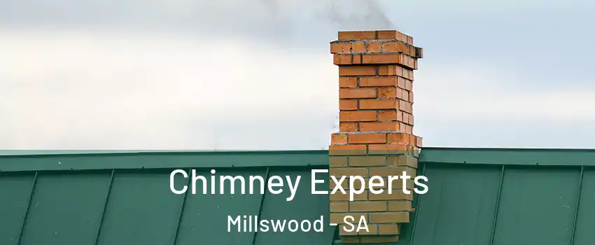  Chimney Experts Millswood - SA
