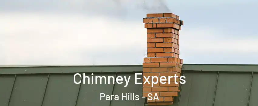  Chimney Experts Para Hills - SA