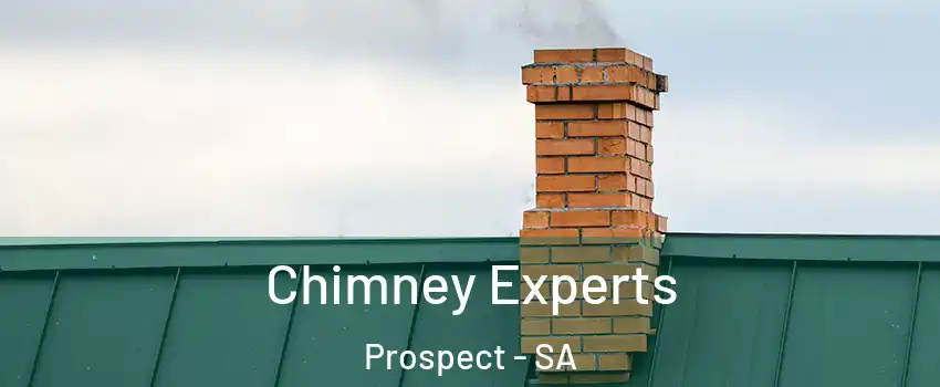  Chimney Experts Prospect - SA