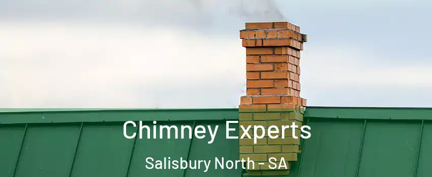  Chimney Experts Salisbury North - SA