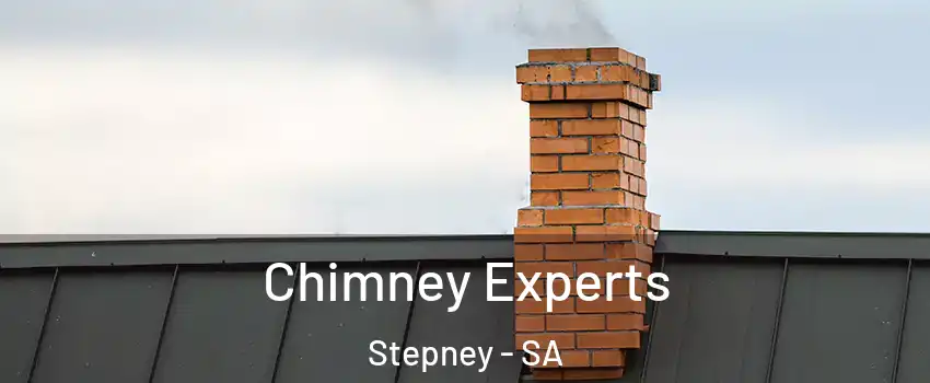  Chimney Experts Stepney - SA