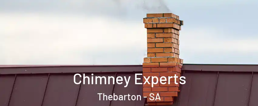  Chimney Experts Thebarton - SA