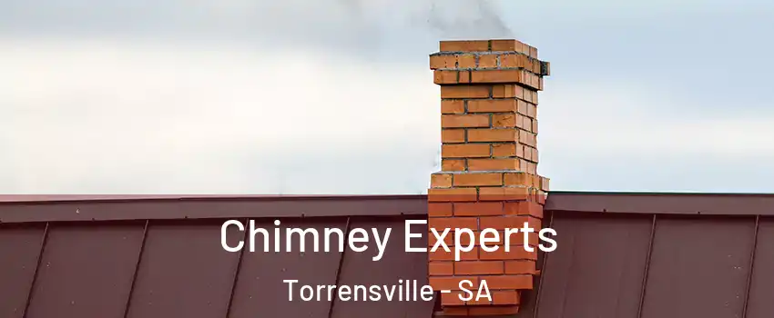  Chimney Experts Torrensville - SA