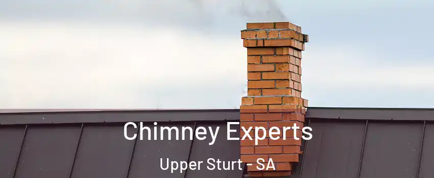  Chimney Experts Upper Sturt - SA