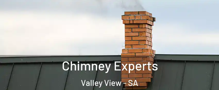  Chimney Experts Valley View - SA