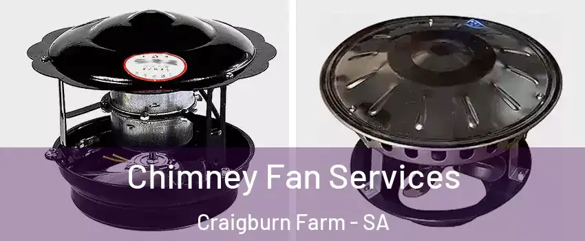 Chimney Fan Services Craigburn Farm - SA