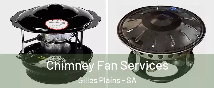 Chimney Fan Services Gilles Plains - SA