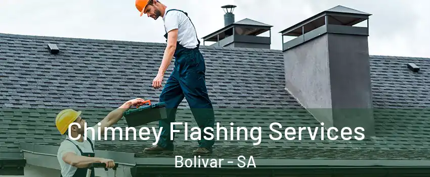 Chimney Flashing Services Bolivar - SA