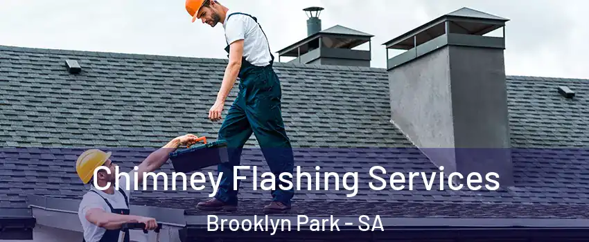 Chimney Flashing Services Brooklyn Park - SA