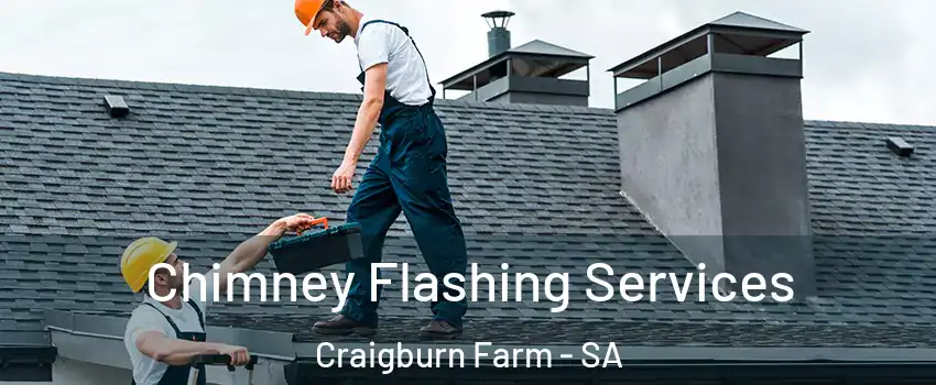  Chimney Flashing Services Craigburn Farm - SA