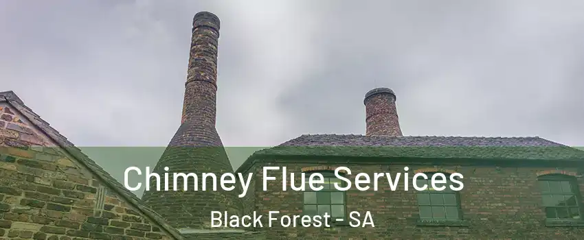 Chimney Flue Services Black Forest - SA