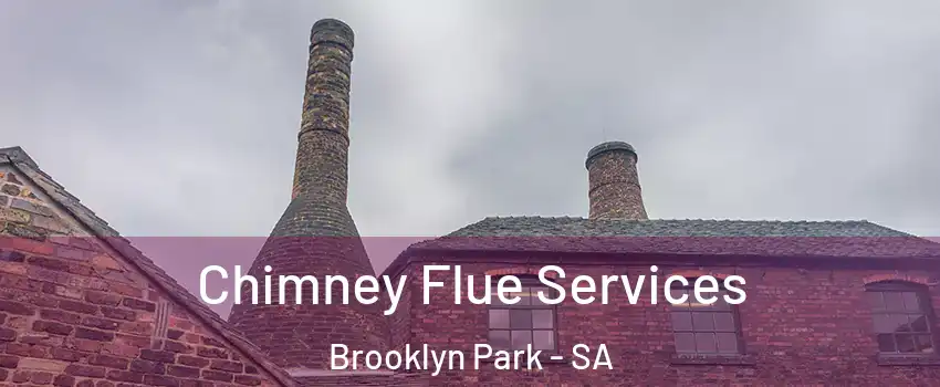 Chimney Flue Services Brooklyn Park - SA